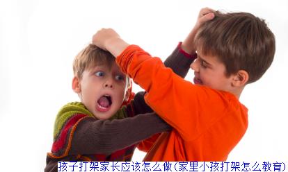 孩子打架家长应该怎么做(家里小孩打架怎么教育)