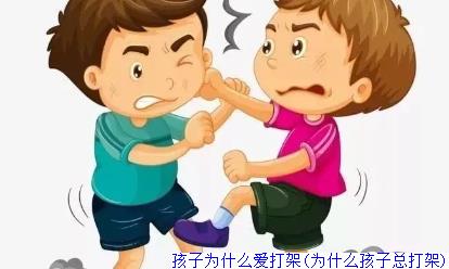 孩子为什么爱打架(为什么孩子总打架)