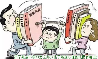 孩子叛逆不学习怎么办?(孩子叛逆心理的成因有哪些)