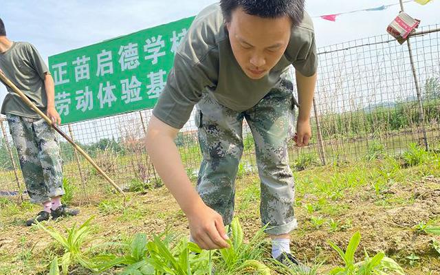 军事化封闭学校(军事化封闭学校)(图2)