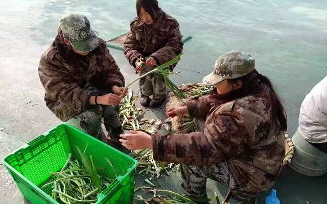 全封闭军事化管理学校有没有(全封闭军事化管理学校)(图2)